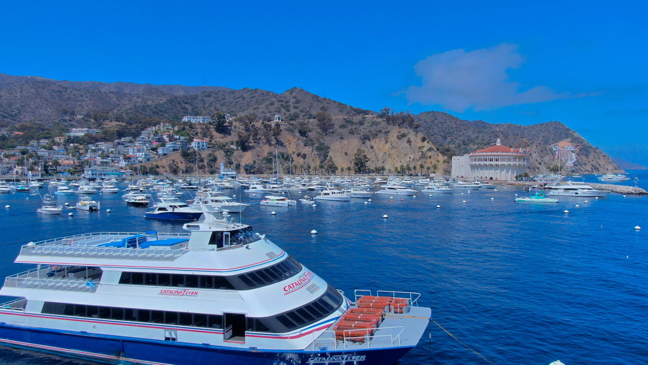 Catalina Flyer in Avalon Harbor